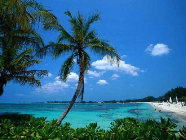 Bahamas company beach