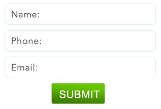 input form