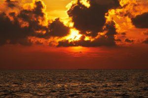 Ocean Sunset