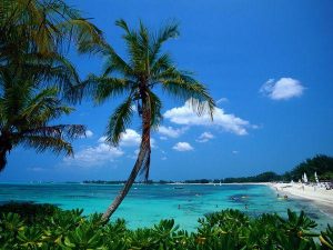 Bahamian business