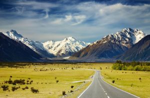 New Zealand Countryside