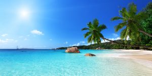 Seychelles Corporation