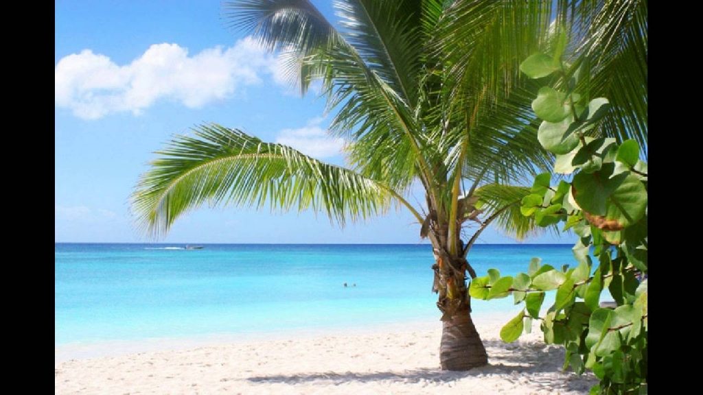 Beach in Tuvalu