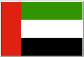 UAE LLC flag