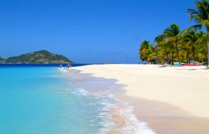 Beach in St. Vincent