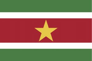 Suriname Limited Liability Company (NV)