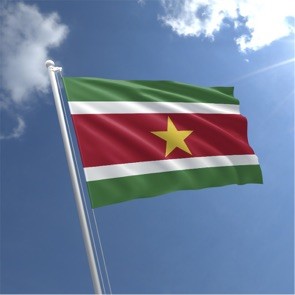 Suriname Private Foundation (SPF) Flag