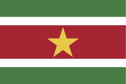 Suriname Limited Liability Company (NV)