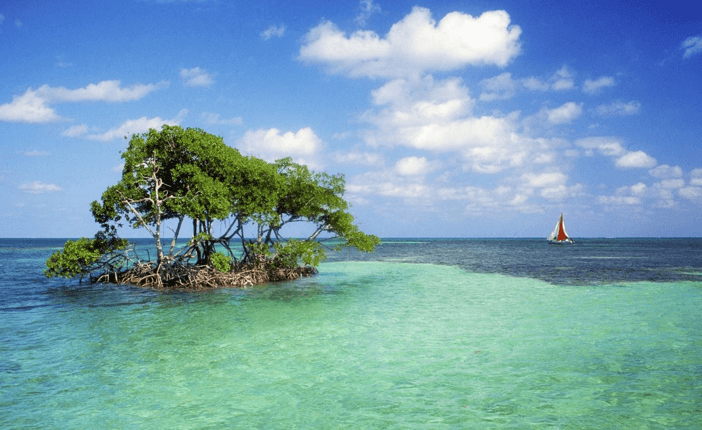 Belize sea