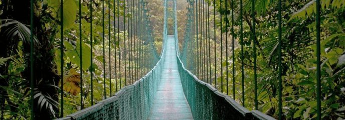 Bridge in Costa Rica