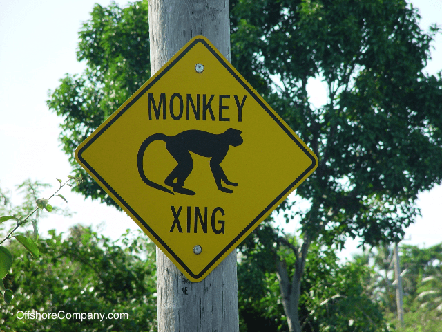 Monkey Crossing Sign