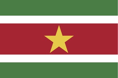 Suriname Limited Liability Company (NV)