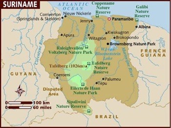 Suriname Limited Liability Company (NV)