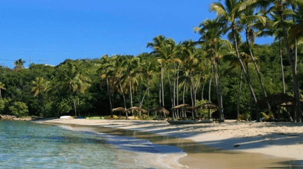 Beach in USVI