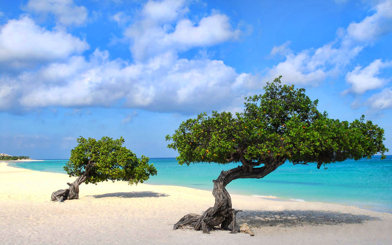 Beach in Aruba