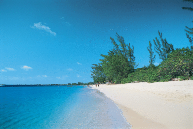 Cayman Beach