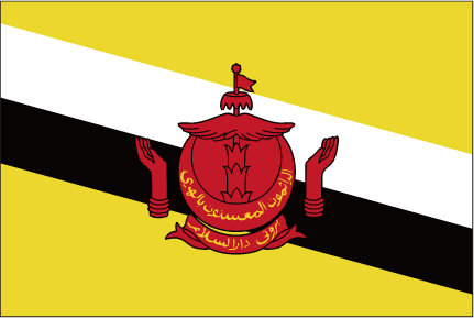 Brunei Flag