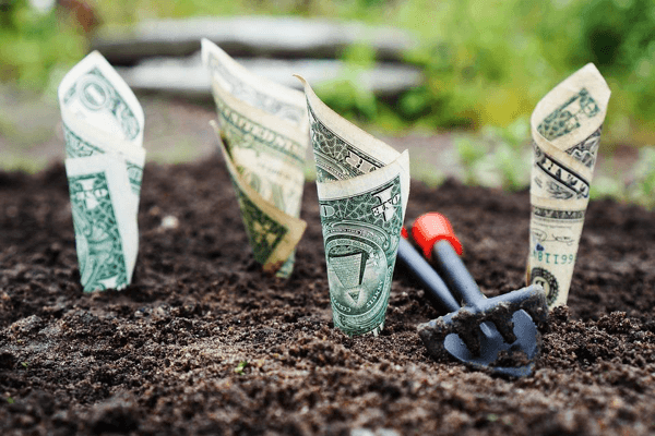 dollars in soil