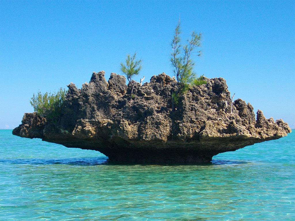 Coastal Rock