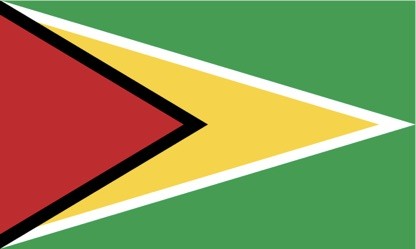 Guyana Flag