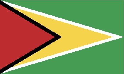 Guyana Flag