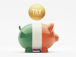 Irish Tax Saving Piggy Bank