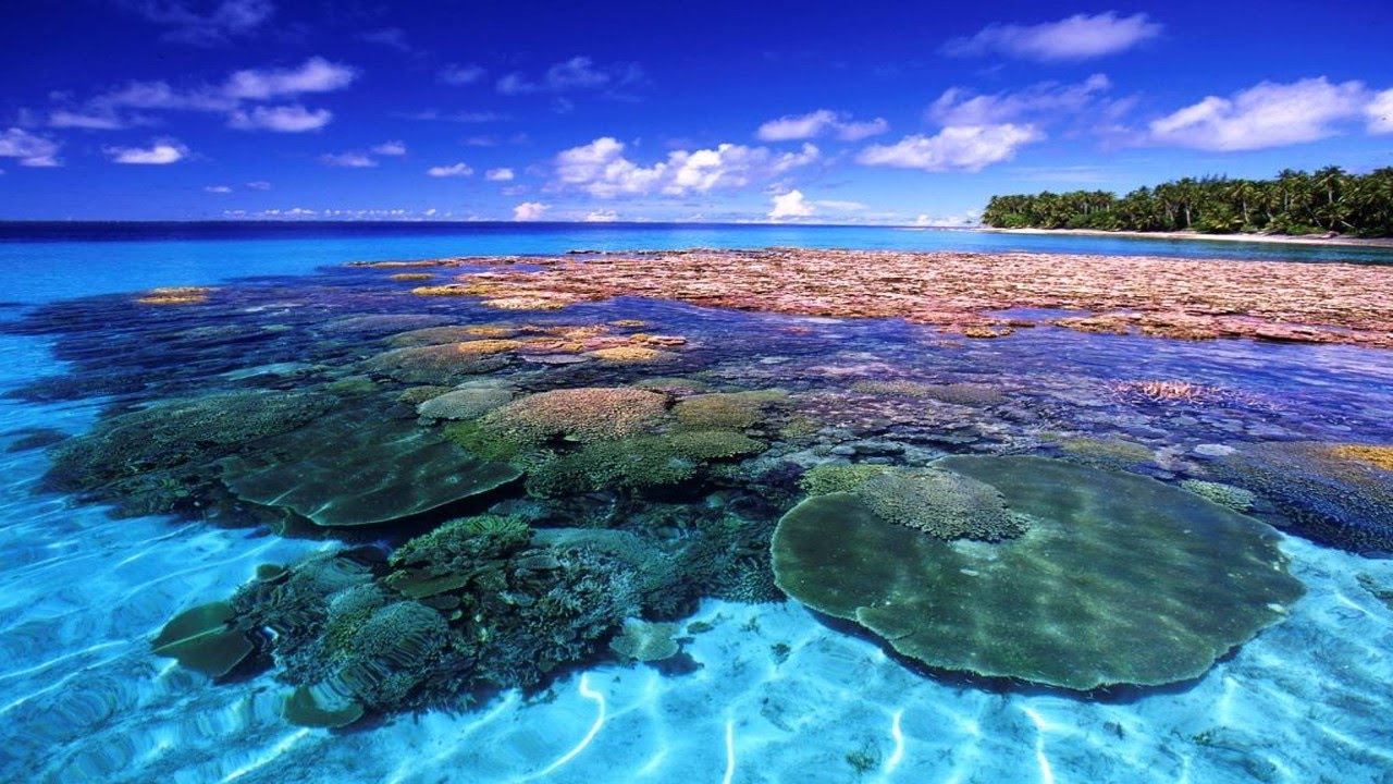Shoreline in the Marshall Islands