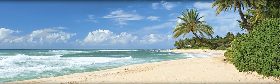 Beach in Niue