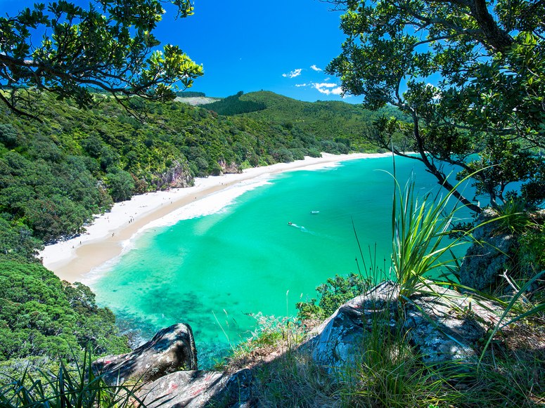 New Zealand Beach