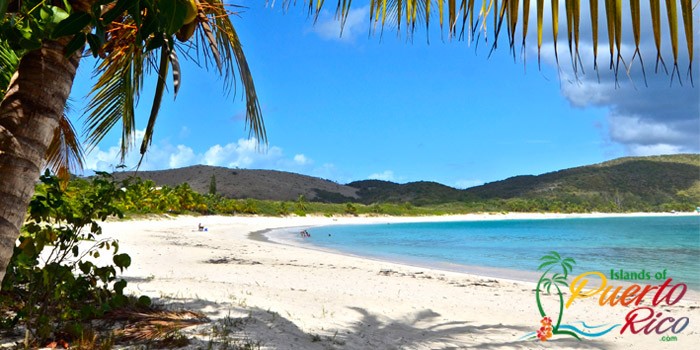 Beach in Puerto Rico