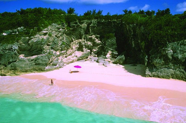 Seychelles beach